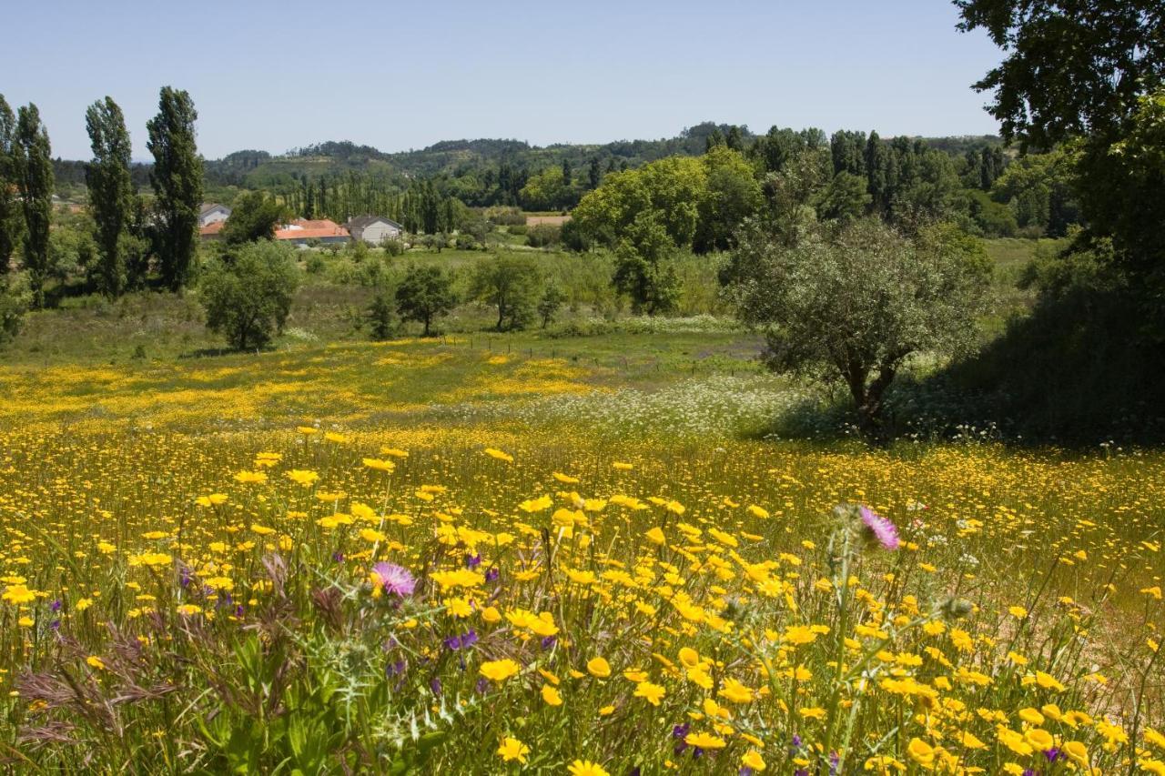 Quinta Da Alcaidaria Mor Villa Ourém Kültér fotó