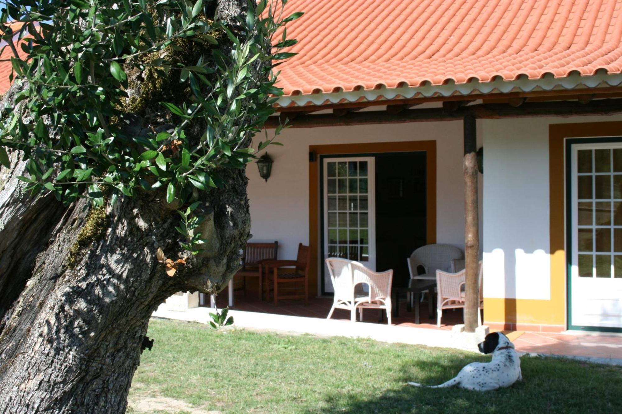 Quinta Da Alcaidaria Mor Villa Ourém Kültér fotó